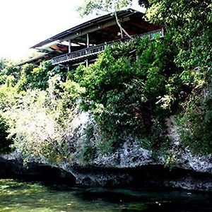 Bohol Bee Farm